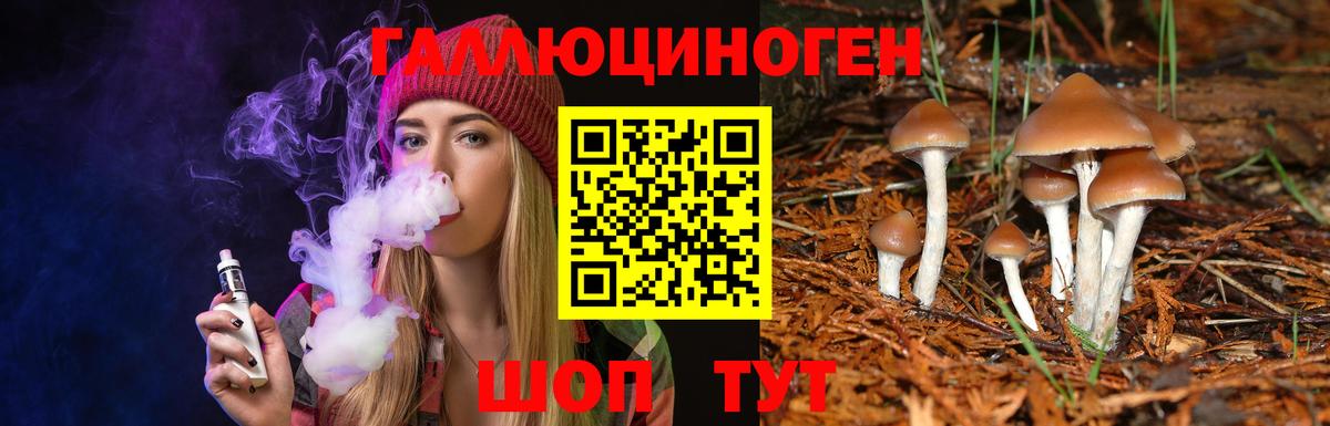 Галлюциногенные грибы ЛСД Владивосток