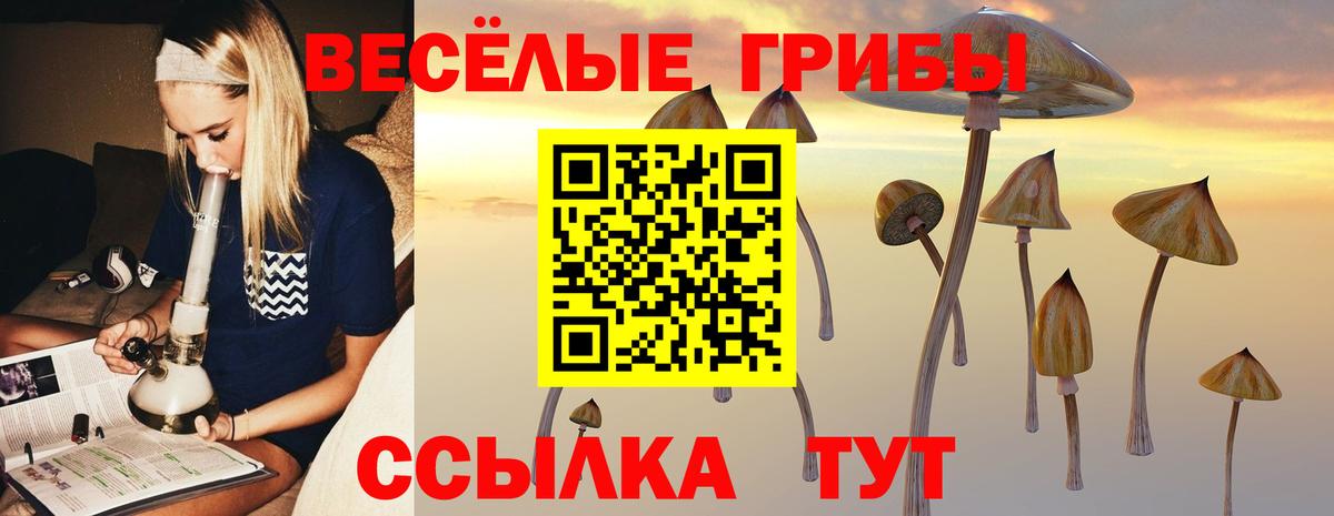 Псилоцибиновые грибы Cubensis  Вход с VPN  Владивосток 